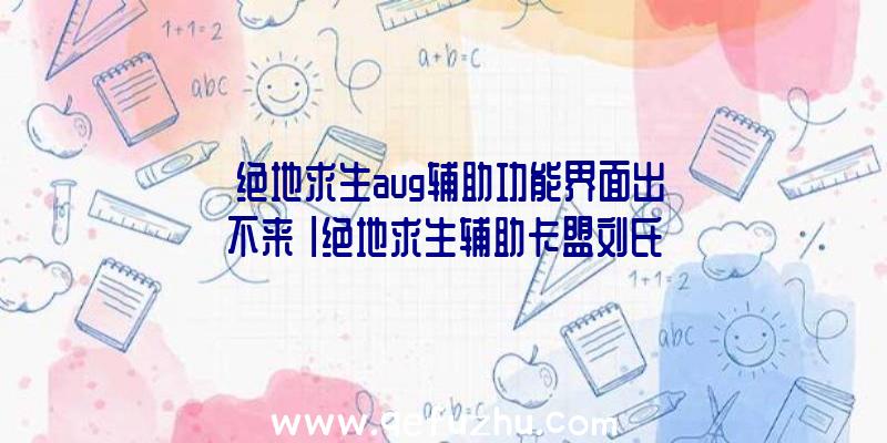 「绝地求生aug辅助功能界面出不来」|绝地求生辅助卡盟刘氏